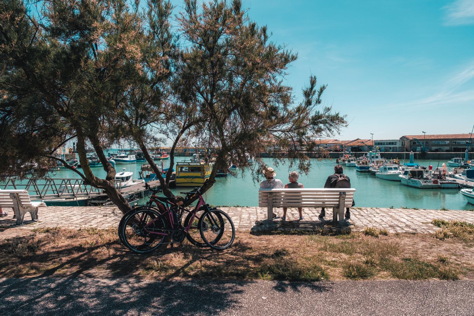 Le Port de La Cotinière