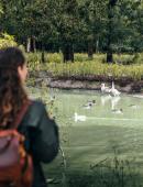 Marais aux Oiseaux © Mathieu Lassalle - French Wanderers (2).jpg Marais aux Oiseaux © Mathieu Lassalle - French Wanderers (2).jpg