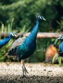 Marais aux Oiseaux © Mathieu Lassalle - French Wanderers (3).jpg Marais aux Oiseaux © Mathieu Lassalle - French Wanderers (3).jpg