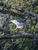 Marais aux Oiseaux © Mathieu Lassalle - French Wanderers.jpg