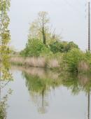 canal charente-seudre -Fédération pour la pêche et la Protection du Milieu Aquatique de Charente-Maritime.jpg canal charente-seudre -Fédération pour la pêche et la Protection du Milieu Aquatique de Charente-Maritime.jpg