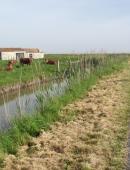 canal de broue - Fédération pour la pêche et la Protection du Milieu Aquatique de Charente-Maritime (2).jpg canal de broue - Fédération pour la pêche et la Protection du Milieu Aquatique de Charente-Maritime (2).jpg