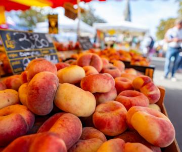 Marchés locaus île d'Oléron Marennes