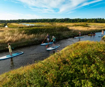 Stand Up Paddle Marennes-Oléron