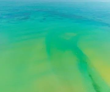 Cámara web desde la playa de la isla de Oléron