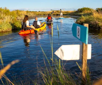 El piragüismo, la isla de Oléron y la cuenca de Marennes