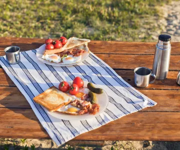 Zonas de picnic, la isla de Oléron y la cuenca de Marennes
