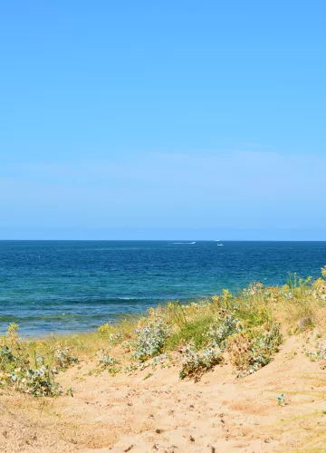 Webcam plage de la Perroche, Oléron-Insel