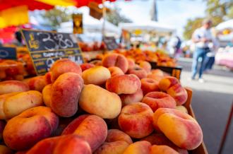 Marchés locaus île d'Oléron Marennes