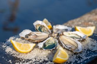 Oester- en visbars île d'Oléron Marennes