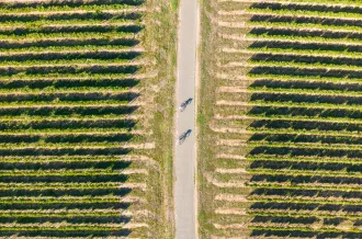 ¿Cómo llegar? île d'Oléron Marennes Tourisme