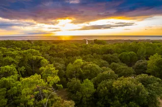 Bos, Isla de Oléron