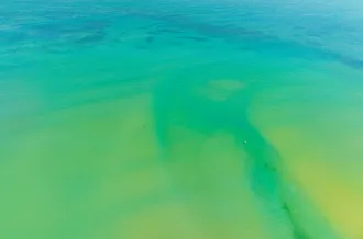 Cámara web desde la playa de la isla de Oléron