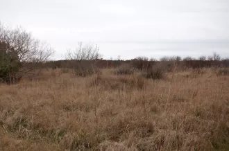 Marais Lacheneau et bois des combes