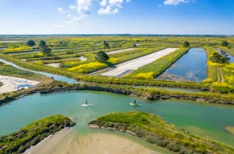 Marais de l'éguille_Saint-Pierre-d'Oléron