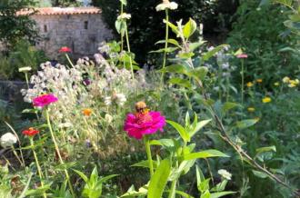 Initiation à la permaculture