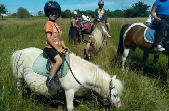 balade à poney