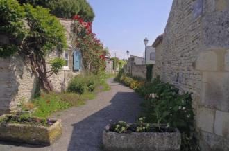 Balade les jeudis des villages - Sauzelle