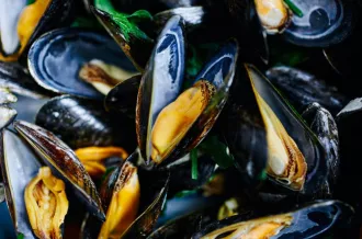 Eclade de Moules_Nieulle-sur-Seudre