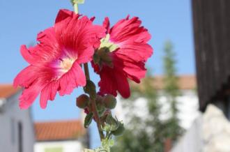 Village de la Boirie