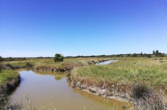La vie cachée du marais de l'Aiguille