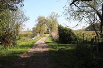 Marais de Brouage