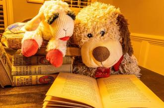 Un doudou, un livre et au lit