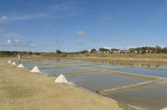 Port des Salines, Oléron, visite du marais salant