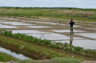 Franco Fiesta - Sortie de sel_Marennes-Hiers-Brouage