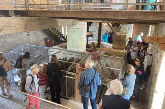 Visite guidée du Moulin des Loges