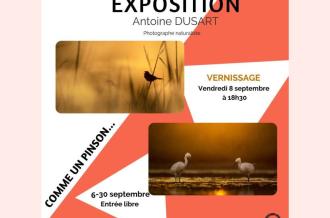 Affiche expo Librairie Le Coureau
