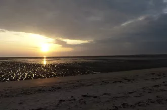 Reserve-Moeze-Oleron-LPO-Balade-crepusculaire-Saint-Froult