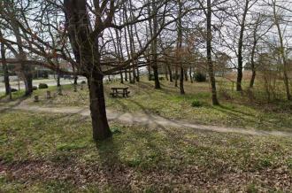 Aire de pique nique au petit bois de pins