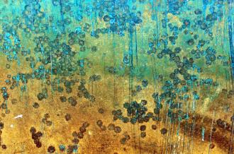Exposition de photographies Christine Drouillard