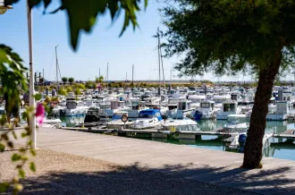 Brocante du port de Saint-Denis_Saint-Denis-d'Oléron