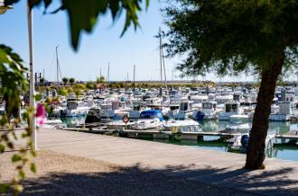 Brocante du port de Saint-Denis_Saint-Denis-d'Oléron