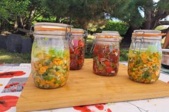 Lacto légumes