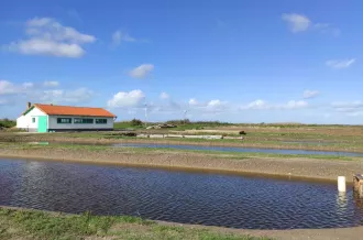 Les Perles du Marais - Tom Vergnaud_Marennes-Hiers-Brouage