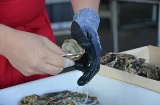 concours des ecaillers