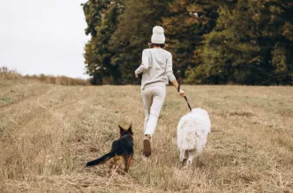 La Crocôtière #4_Saint-Trojan-les-Bains