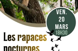 Soirée conférence "Les rapaces nocturnes"