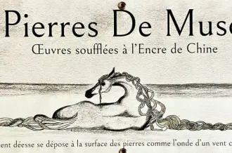 Exposition de travaux à l'encre de chine multisupports - Clarice Chiron