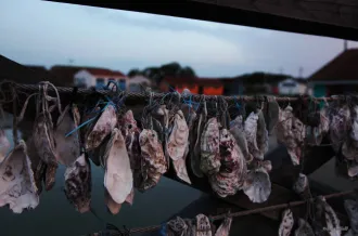 Exposition de photographies - Pierre Callandreau