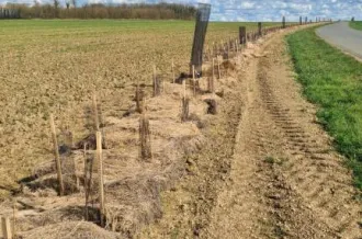 Semaines Arbre et Paysage