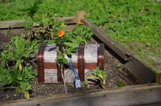 La plage et ses secrets - chasse au trésor_Dolus-d'Oléron