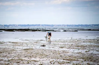 Exposition - Pêche à pied_Saint-Trojan-les-Bains