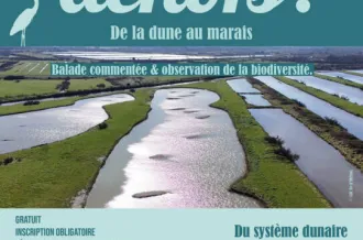 Tous dehors sur Oléron