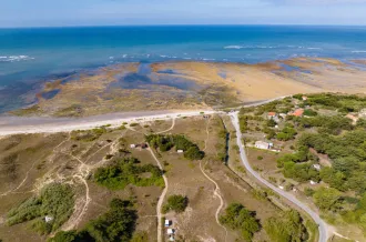 Balade / randonnée : Chaucre, entre vignoble et océan_Saint-Georges-d'Oléron