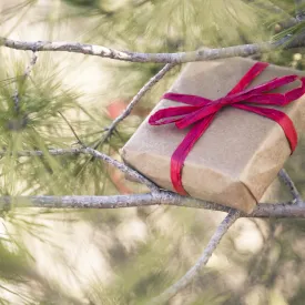 Kerstcadeau-ideeën, Marennes-Oléron
