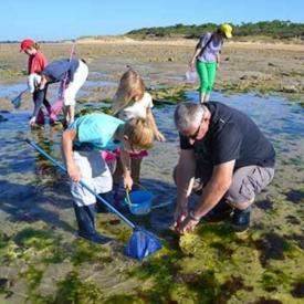 Pêche à pied écologique